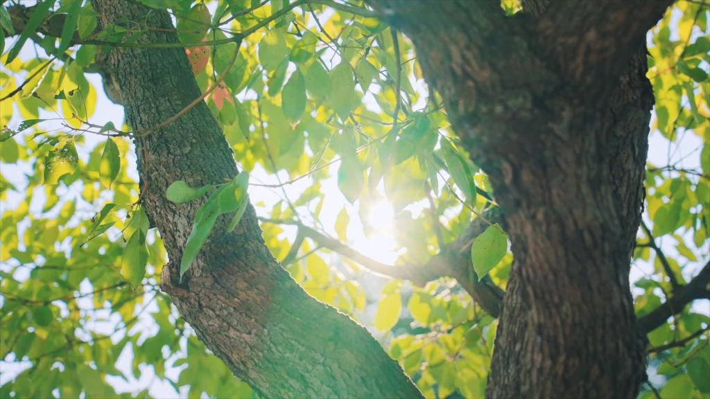 优德88·(中国游)有限公司官网