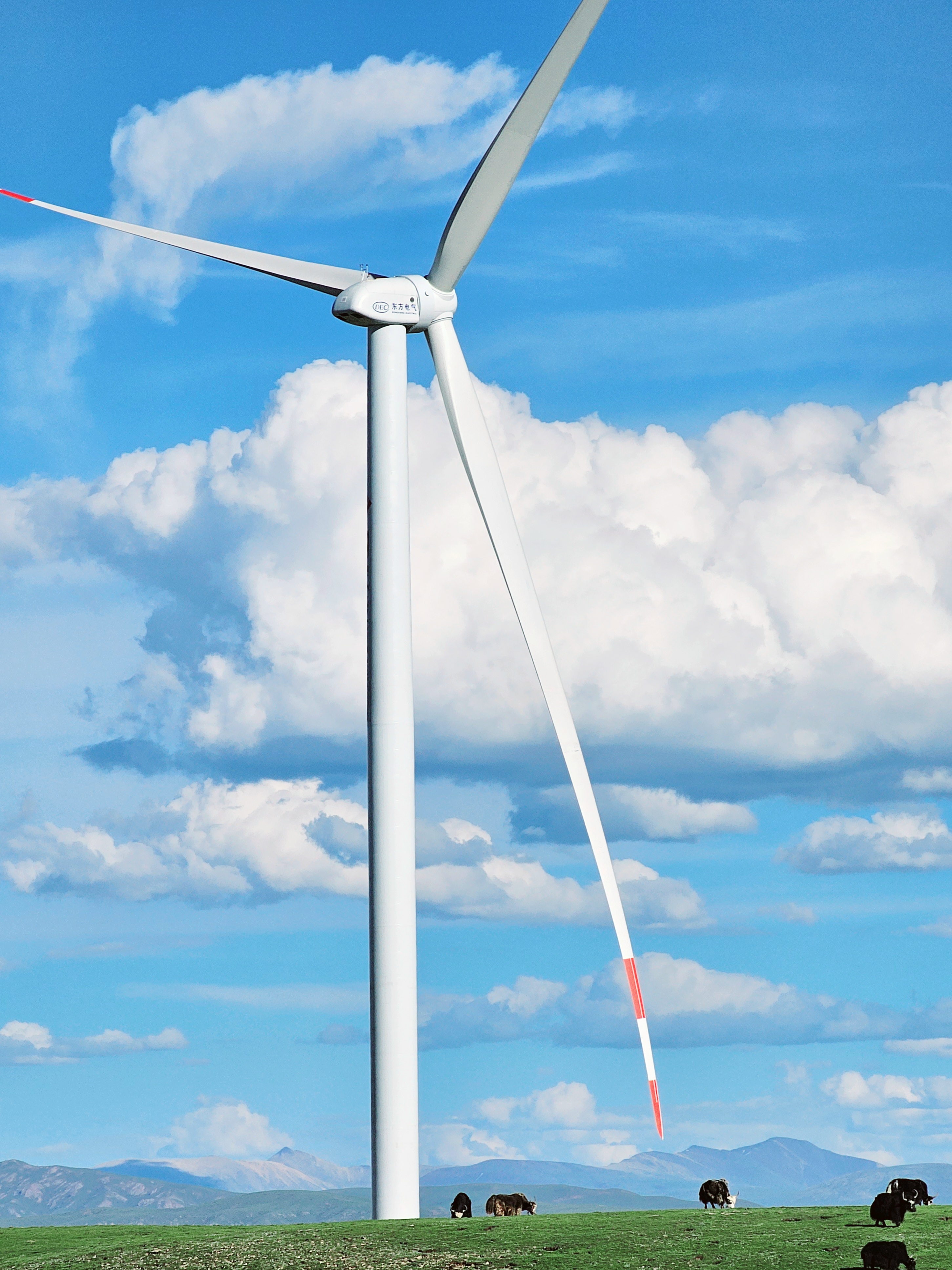 优德88·(中国游)有限公司官网