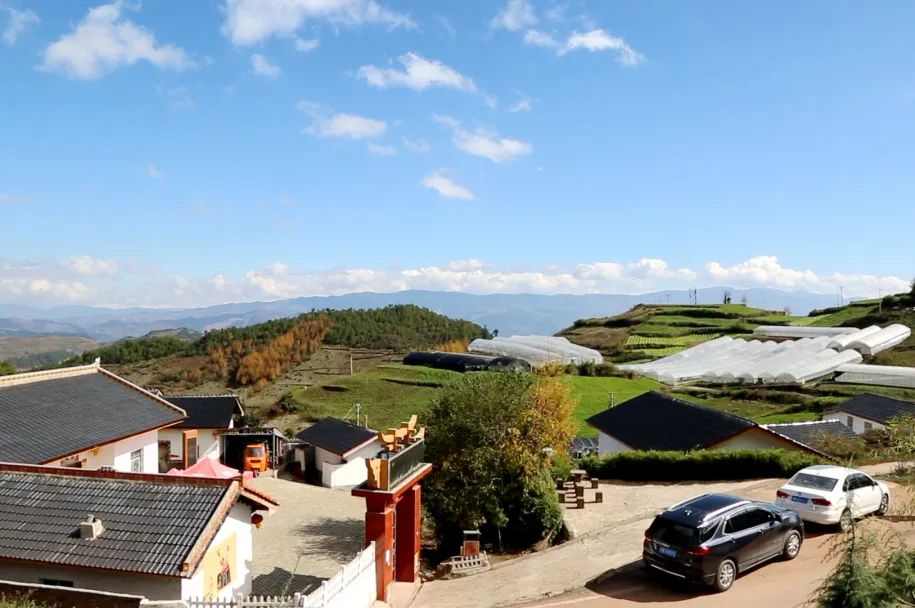 优德88·(中国游)有限公司官网