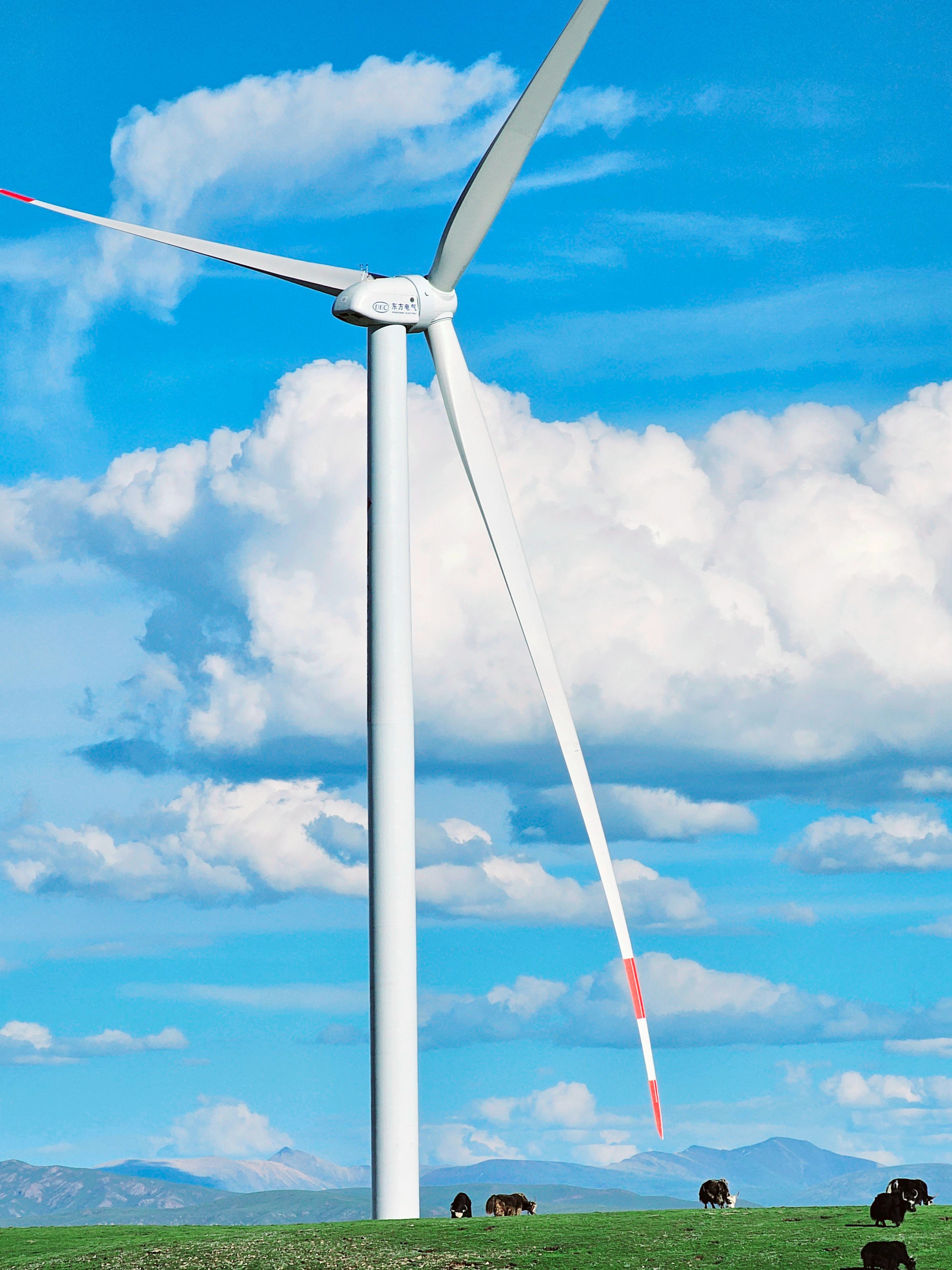 优德88·(中国游)有限公司官网