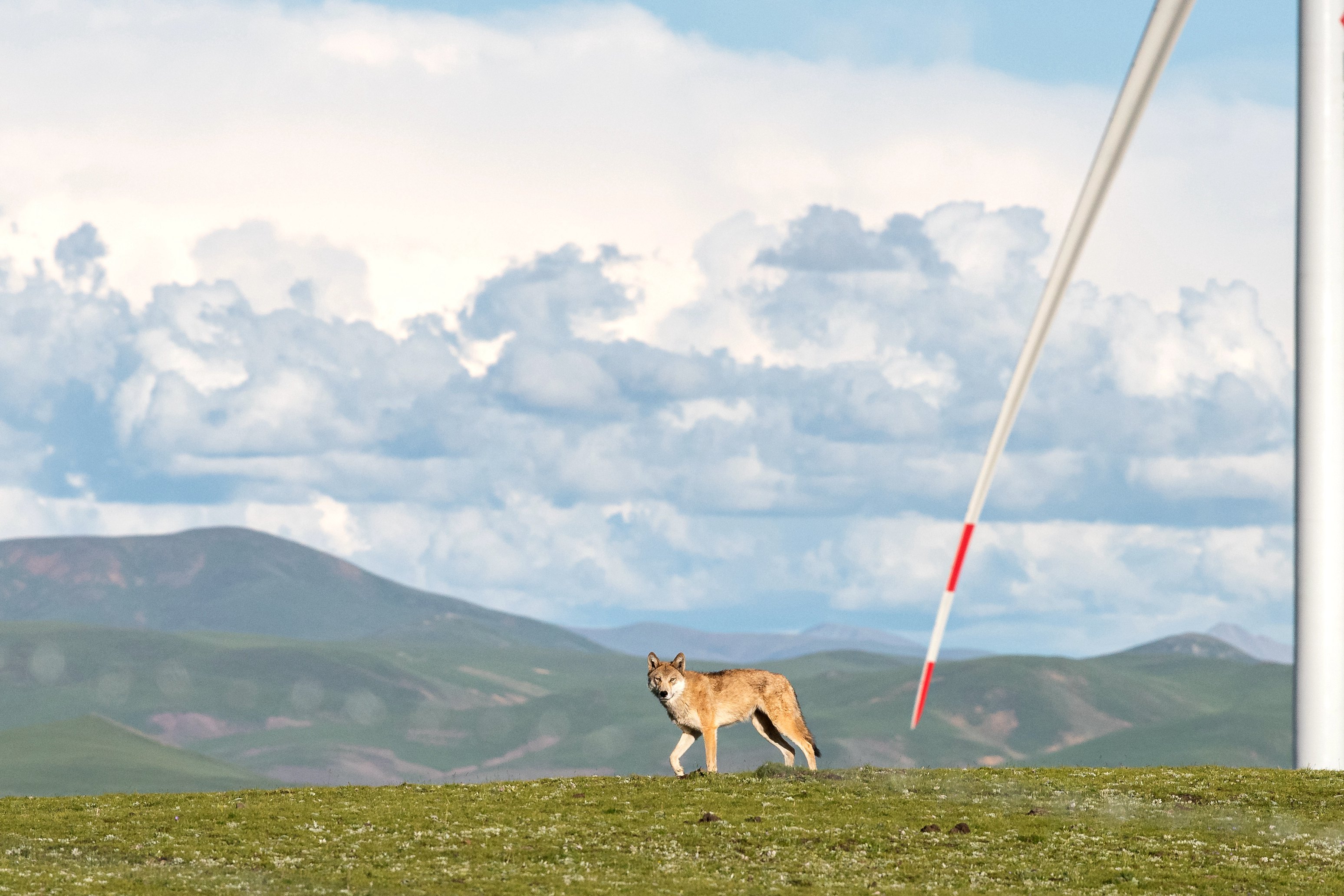 优德88·(中国游)有限公司官网