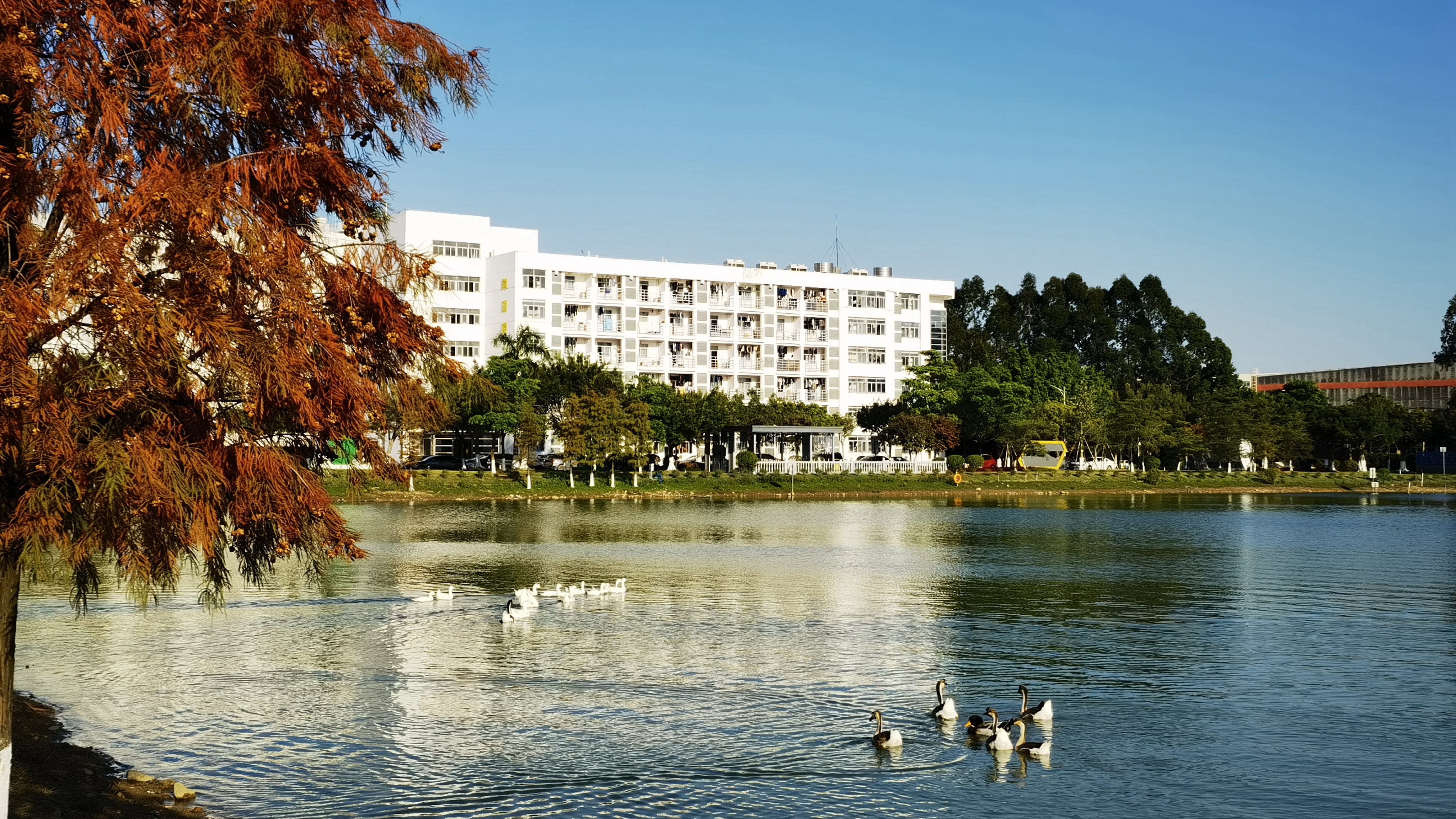 优德88·(中国游)有限公司官网